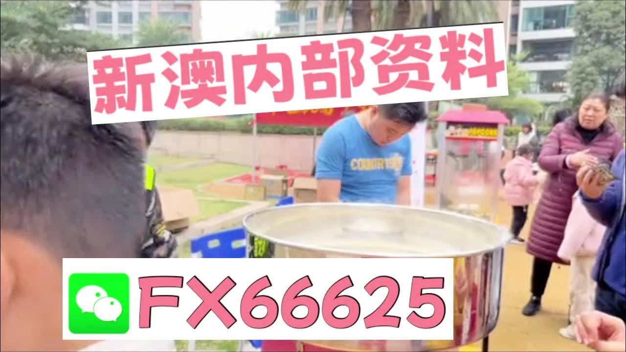 新奧2025資料大全最新版本，全面解析與深度洞察，新奧2025資料大全最新版，全面解析與深度洞察報(bào)告