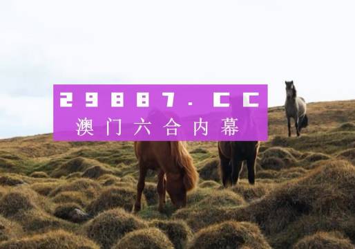 今晚澳門9點(diǎn)35分的彩票開獎(jiǎng)，期待與驚喜交織的時(shí)刻，澳門今晚9點(diǎn)35分彩票開獎(jiǎng)，期待與驚喜交匯的時(shí)刻