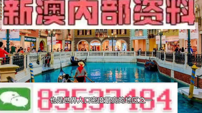 澳門王中王正版游戲，探索未來的新篇章（2025年展望），澳門王中王正版游戲，探索未來新篇章，展望2025年發(fā)展