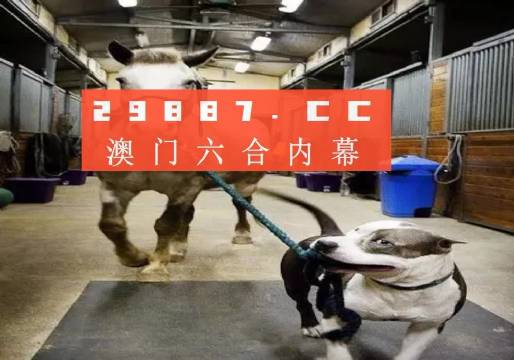 澳門一肖一碼一必中一肖，同舟前進的奧秘與策略，澳門一肖一碼必中策略與前進奧秘，同舟共濟的揭秘與策略