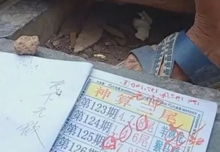 香港中特期期準(zhǔn)資料，深度解析與探索，香港中特期期準(zhǔn)資料深度解析與探索報(bào)告
