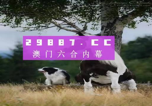 澳門天天空彩官網(wǎng)資料，探索彩票世界的門戶，澳門天天空彩官網(wǎng)資料，彩票世界探索門戶