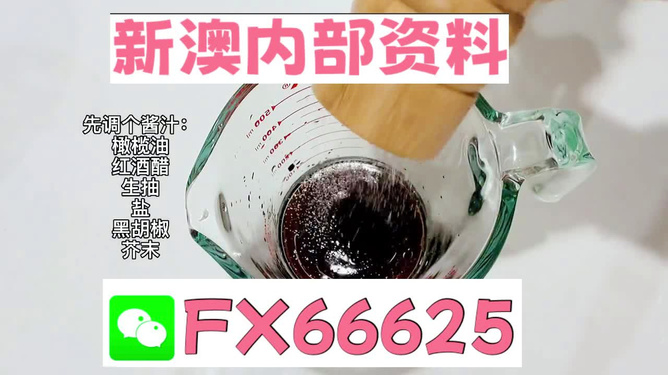 2025年新澳正版免費料，全面解析與獨家資訊，獨家解析，揭秘新澳正版免費料獨家資訊至2025年