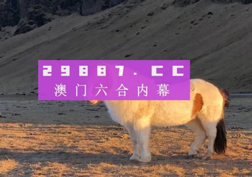 澳門(mén)天天彩資料正版免費(fèi)特色快8，探索彩票世界的魅力與機(jī)遇，澳門(mén)天天彩正版特色快8，彩票世界的魅力與機(jī)遇探索