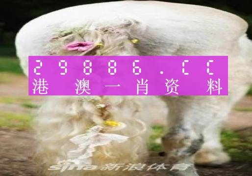 澳門羊了個(gè)羊與各大圖庫的資料揭秘，2023年澳門今晚必中一肖一碼永久免費(fèi)資料庫大解密，澳門羊了個(gè)羊與資料庫揭秘，2023年必中一肖一碼永久免費(fèi)資料大解密
