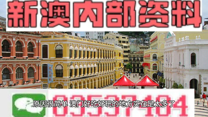 澳門(mén)精準(zhǔn)資料大全免費(fèi)，探索與解析，澳門(mén)精準(zhǔn)資料大全免費(fèi)解析探索