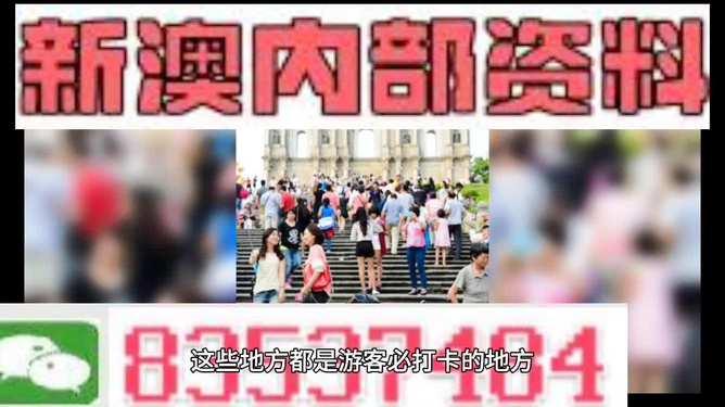 新澳天天開獎資料大全旅游團——探索澳門的魅力之旅，澳門魅力探索之旅，新澳天天開獎資料大全旅游團