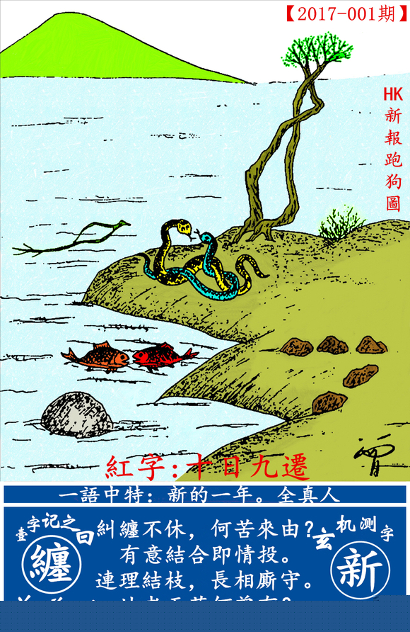 探索全新版跑狗圖，7777788888的魅力與策略，探索全新版跑狗圖，7777788888的魅力與攻略解析