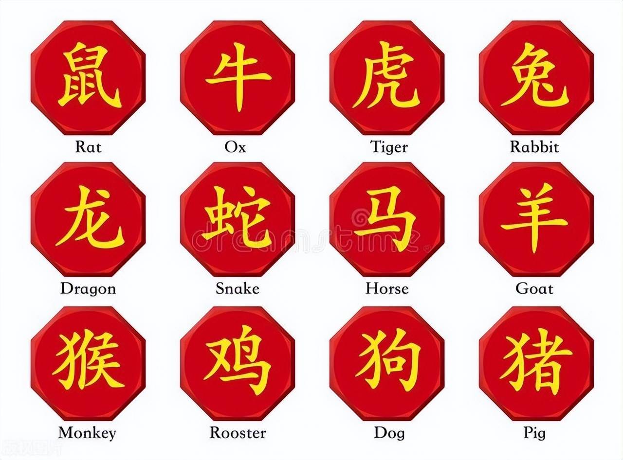新澳特碼，羊牛虎各數(shù)10——揭秘背后的數(shù)字奧秘，揭秘新澳特碼數(shù)字奧秘，羊?；⒏鲾?shù)背后的秘密