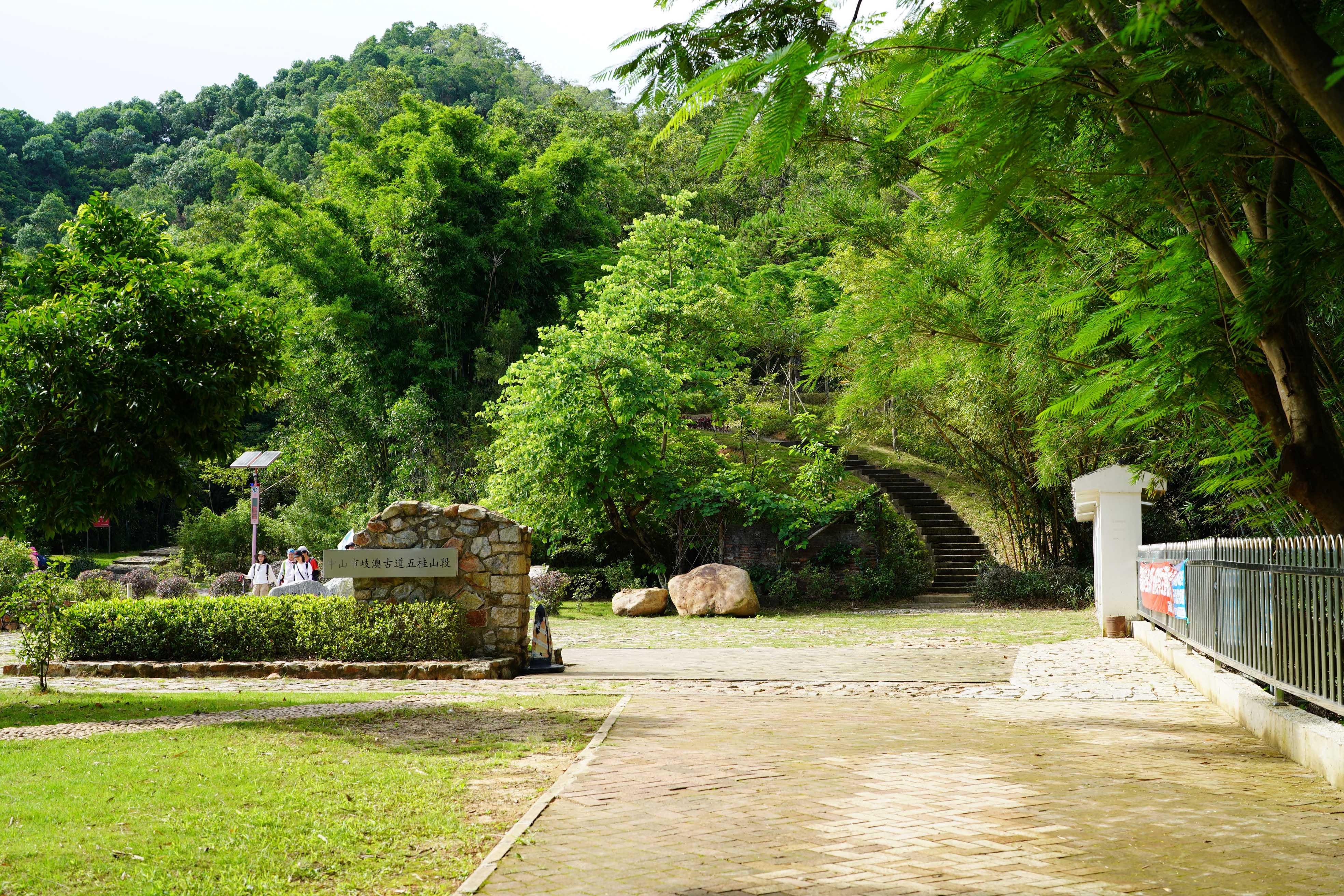 新澳門彩生肖走勢圖，探索與解讀彩票背后的秘密，探索解讀新澳門彩生肖走勢圖，彩票背后的秘密揭秘