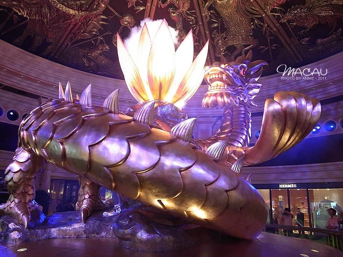 澳門(mén)無(wú)錯(cuò)七尾，探索與解析，澳門(mén)無(wú)錯(cuò)七尾，深度探索與解析