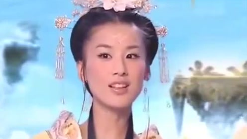 曾道道人資料免費(fèi)大全，深度探索與解析，曾道道人資料深度解析與免費(fèi)大全探索
