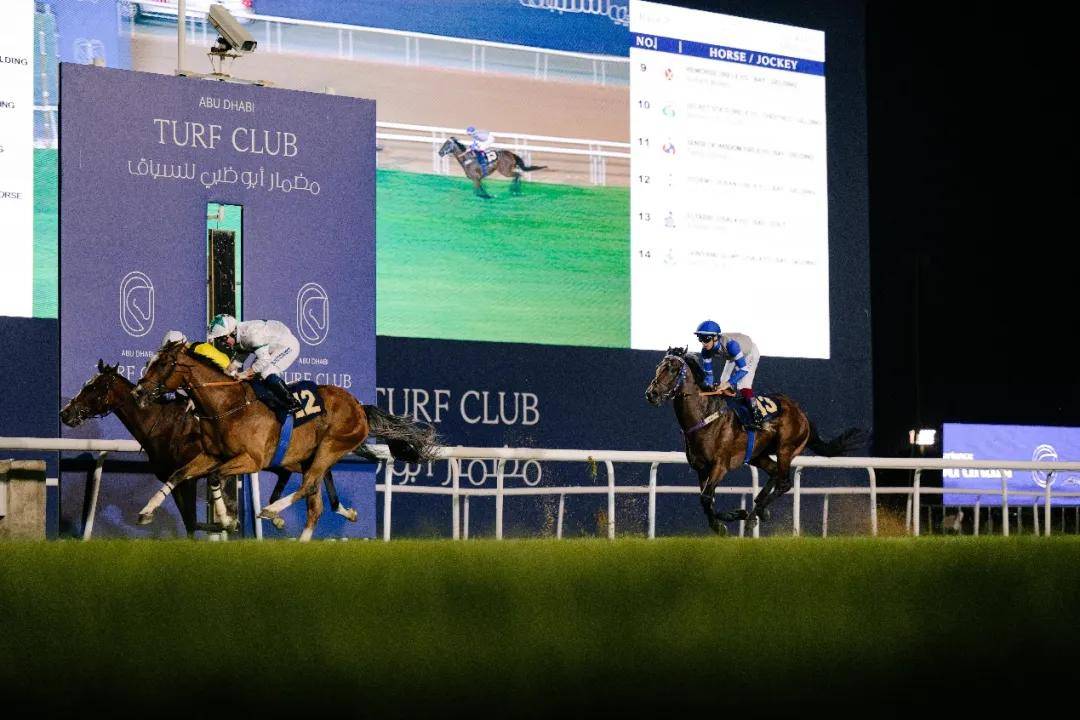 澳門特馬今晚開獎一，探索彩票背后的秘密與期待，澳門特馬今晚開獎，揭秘彩票背后的秘密與期待大獎的激動心情