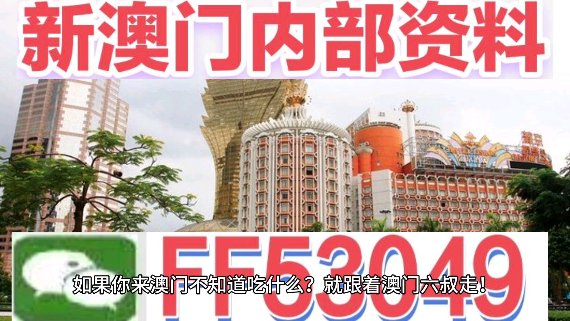 澳門今晚特馬生肖預(yù)測，探尋未來的幸運(yùn)符號（2025年），澳門生肖預(yù)測揭秘，探尋未來幸運(yùn)符號（特馬生肖預(yù)測 2025年展望）