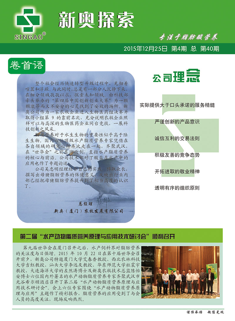 2025新澳正版資料查詢指南，2025新澳正版資料查詢手冊