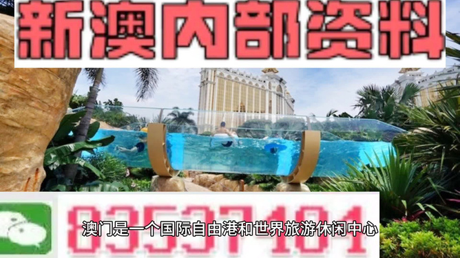 新澳的資料去哪里找——全面指南，新澳資料全攻略，尋找資料的途徑與指南