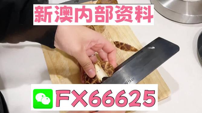 澳門九點半9點半網(wǎng)站——探索其魅力與優(yōu)勢，澳門九點半網(wǎng)站，魅力與優(yōu)勢探索