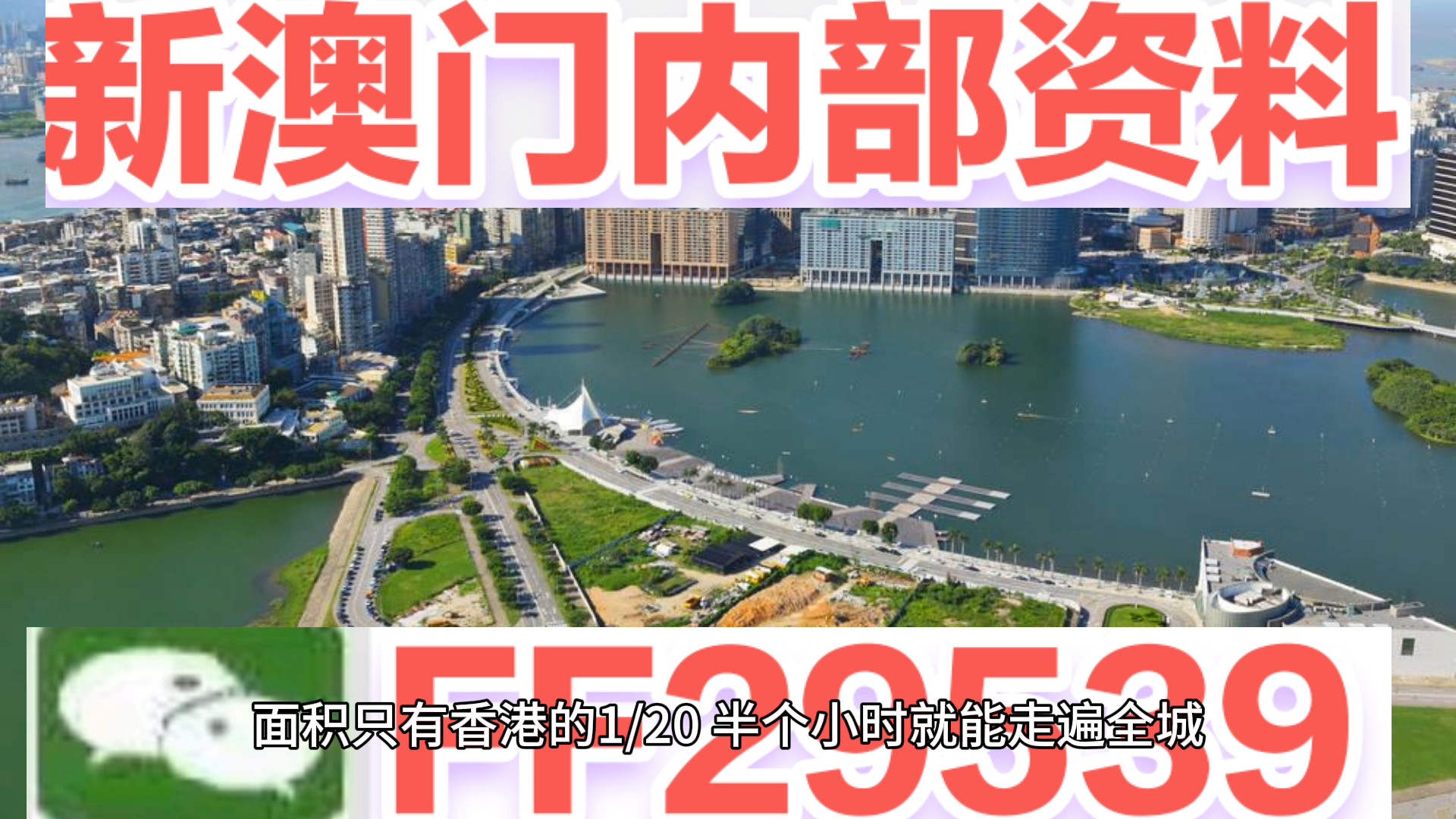 澳門特碼，探索其背后的秘密與魅力，澳門特碼背后的秘密與魅力探索