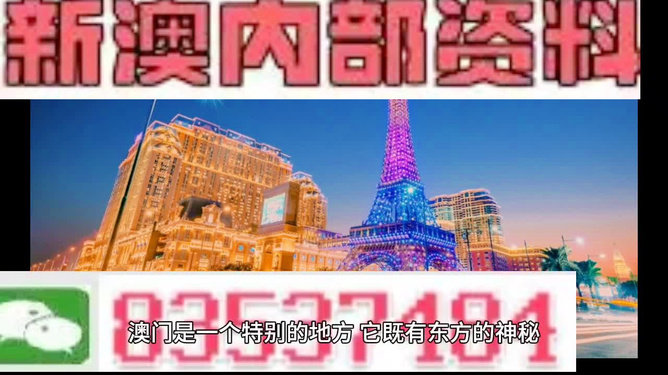 新澳門精準(zhǔn)800圖庫(kù)，探索與解析，新澳門精準(zhǔn)800圖庫(kù)，深入探索與詳細(xì)解析