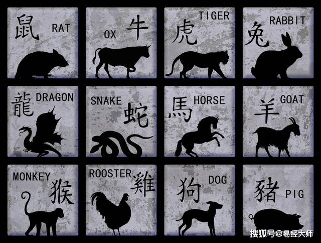 新澳特碼，羊牛虎各數(shù)10的獨(dú)特魅力與解析，新澳特碼，羊?；⒏鲾?shù)10的獨(dú)特魅力深度解析