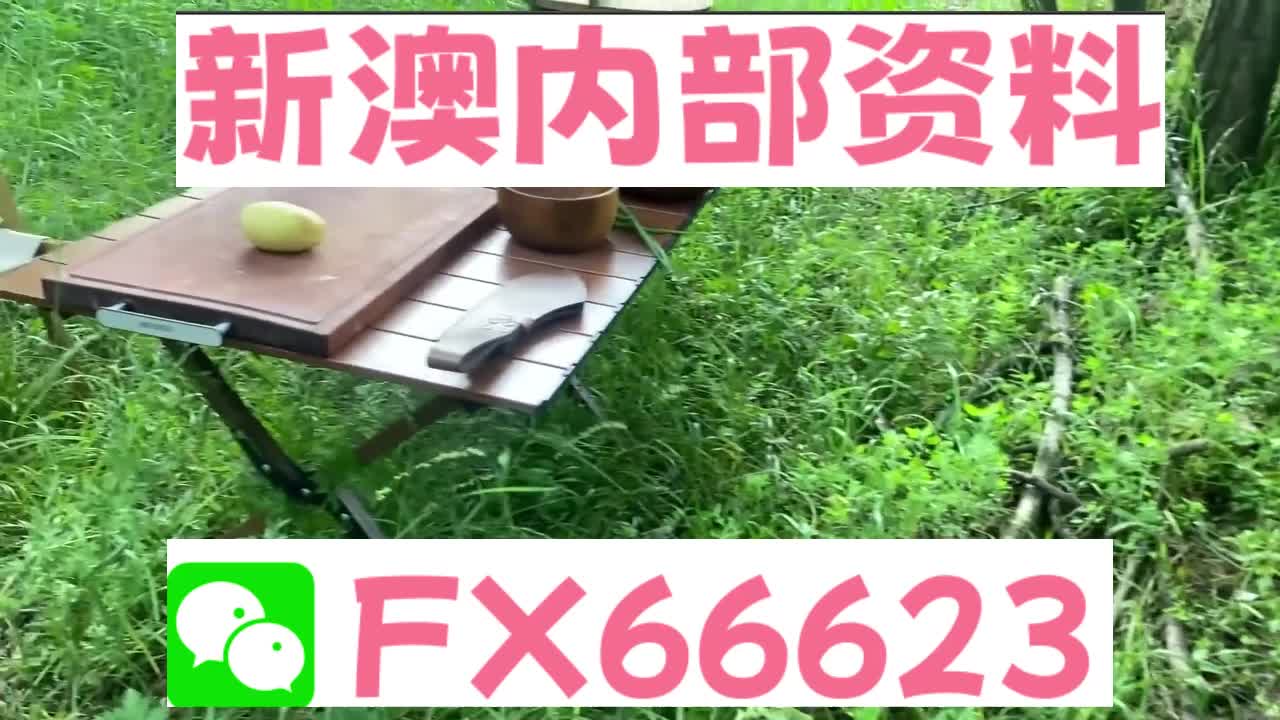 新奧特碼走勢(shì)圖解析與預(yù)測(cè)，新奧特碼走勢(shì)圖解析與預(yù)測(cè)，未來趨勢(shì)探討