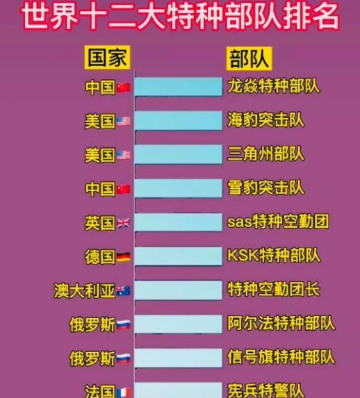 中國十大王牌特種部隊(duì)，實(shí)力與榮耀的象征，中國十大王牌特種部隊(duì)，實(shí)力與榮耀的巔峰標(biāo)志