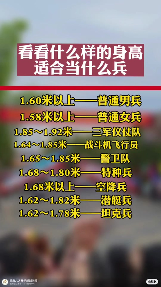 儀仗兵身高標(biāo)準(zhǔn)，探究與解析，儀仗兵身高標(biāo)準(zhǔn)，探究與詳解