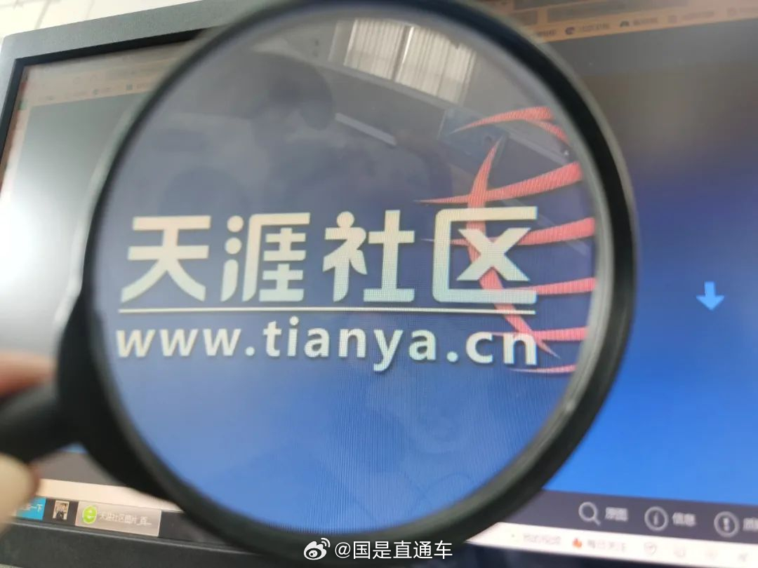 天涯國際觀察，全球視野下的深度分析與洞察，全球深度洞察，天涯國際觀察分析
