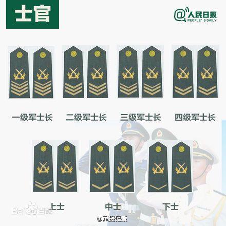 全球各國軍士長軍銜對照表及其重要性，全球各國軍士長軍銜對照表，揭示其重要性