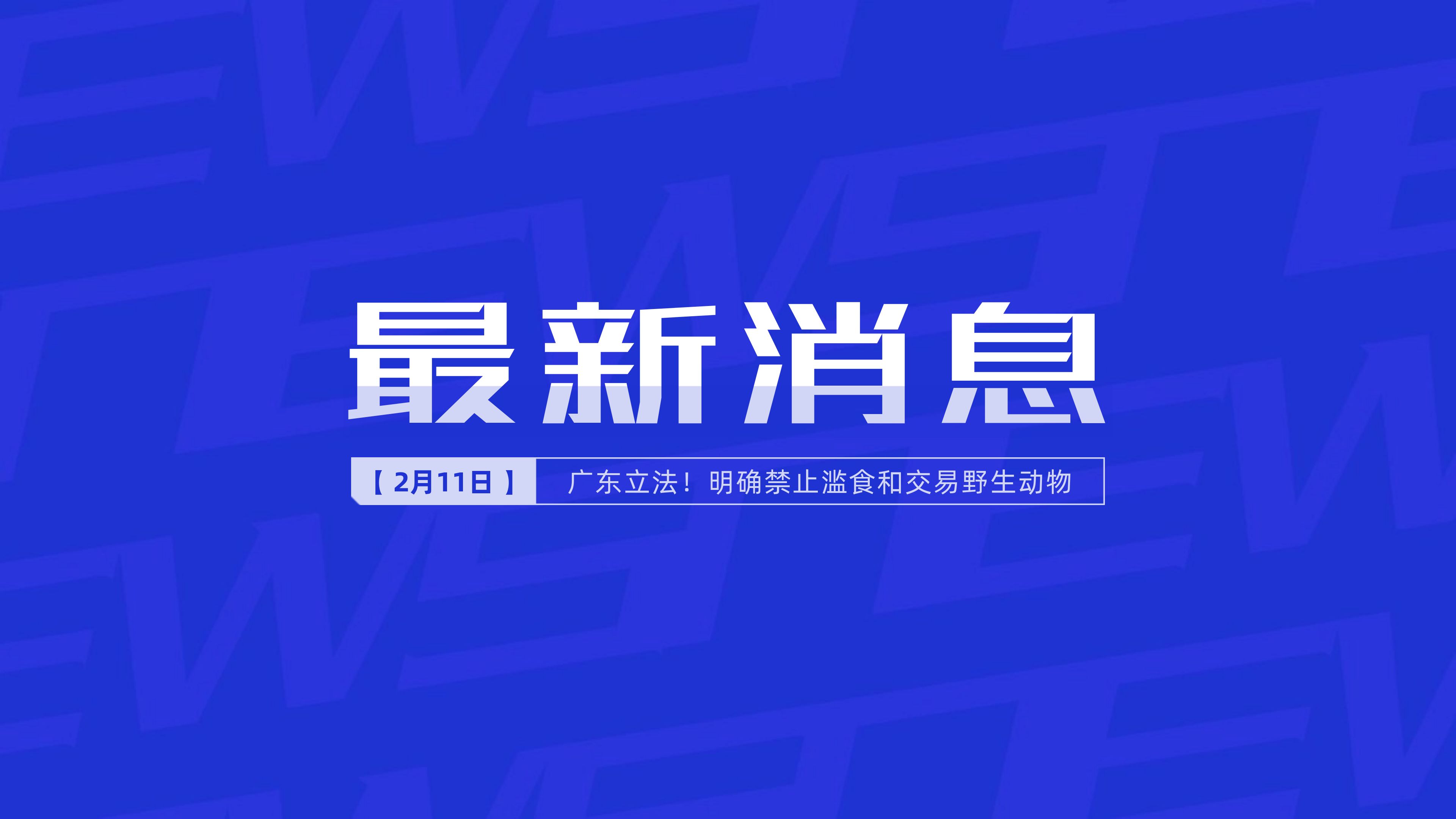 新聞最新新聞，掌握時(shí)事熱點(diǎn)，洞悉世界動(dòng)態(tài)，時(shí)事熱點(diǎn)速遞，掌握全球最新動(dòng)態(tài)新聞