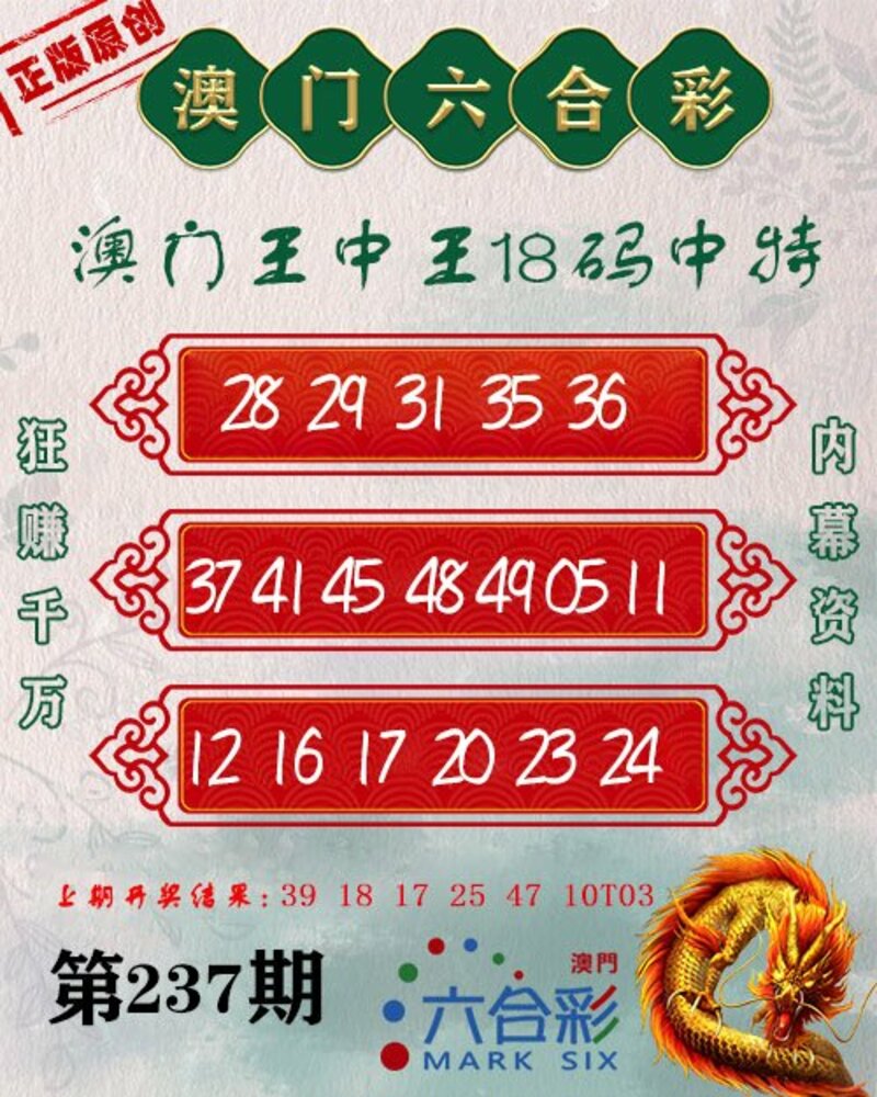新澳門王中王期期中，探索與解析，新澳門王中王期期中，深度探索與解析