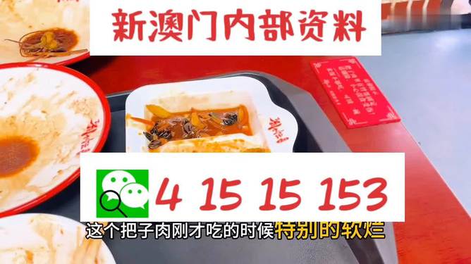 澳門王中王六碼新澳門，探索與解析，澳門王中王六碼新澳門，深度探索與解析