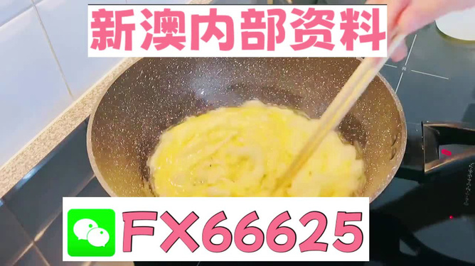 澳門九點半9點半網(wǎng)站——探索與體驗，澳門九點半網(wǎng)站，探索與體驗之旅