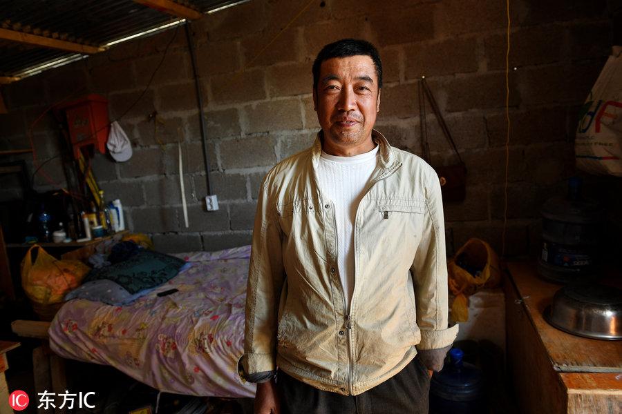 博科圣地組織，深度解析與理解，博科圣地組織深度解析與探究