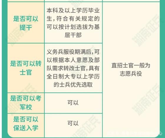 士官直招與義務(wù)兵的區(qū)別，深入了解軍隊(duì)招募制度，直招士官與義務(wù)兵招募制度深度解析，軍隊(duì)招募制度詳解