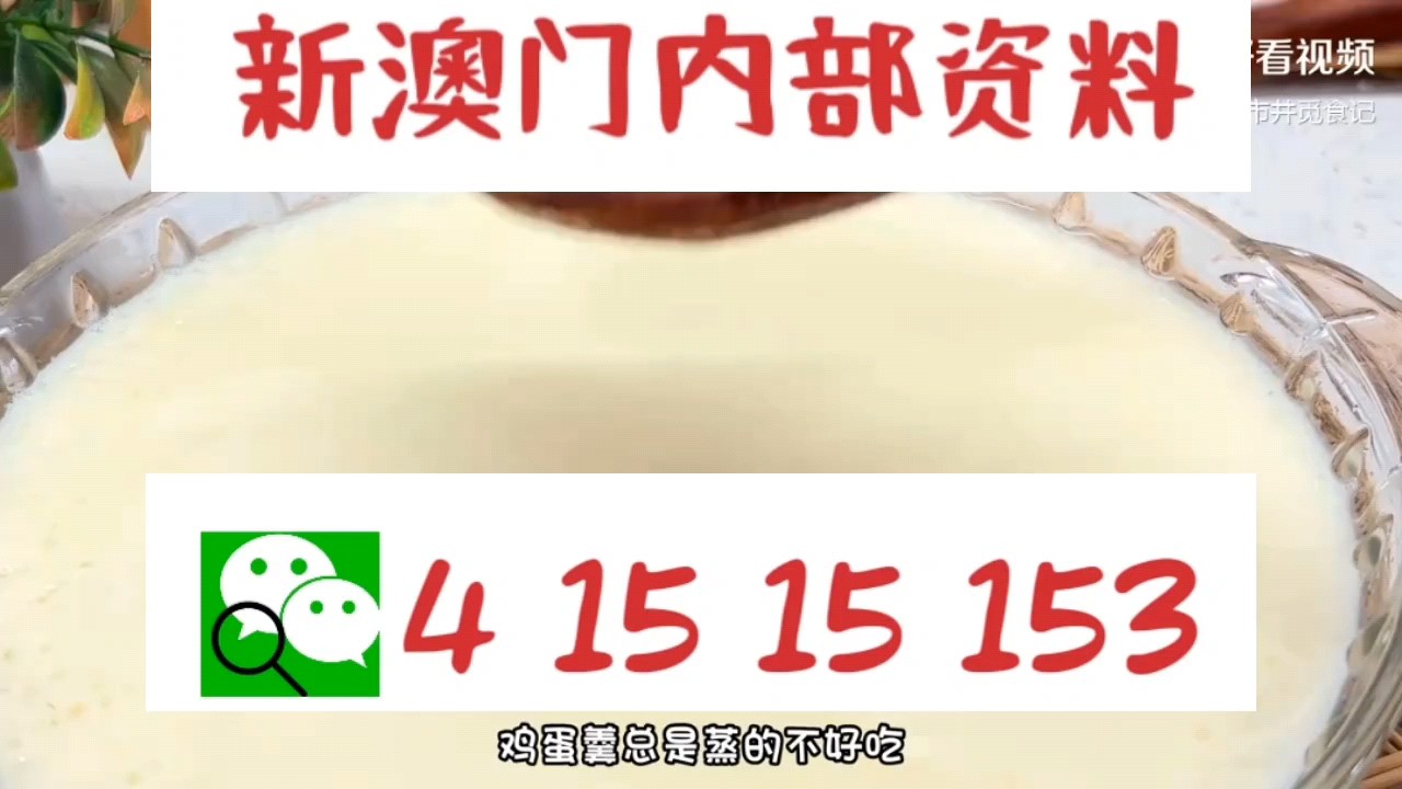 新澳門中特網(wǎng)中特馬，探索與解析，澳門中特馬探索與解析指南