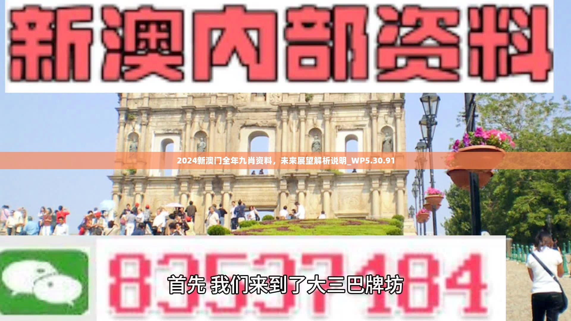 新澳門精準九肖，揭秘預(yù)測技巧與策略，揭秘新澳門精準九肖預(yù)測技巧與策略