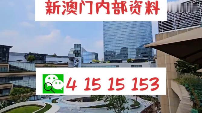新澳門單雙，探索數(shù)字世界的奧秘與魅力，澳門數(shù)字世界的奧秘與魅力探索，單雙數(shù)的奇幻之旅