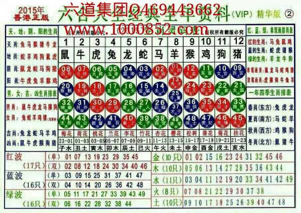 揭秘2024十二生肖49碼表——完整指南，揭秘十二生肖49碼表全攻略，2024年最新版指南