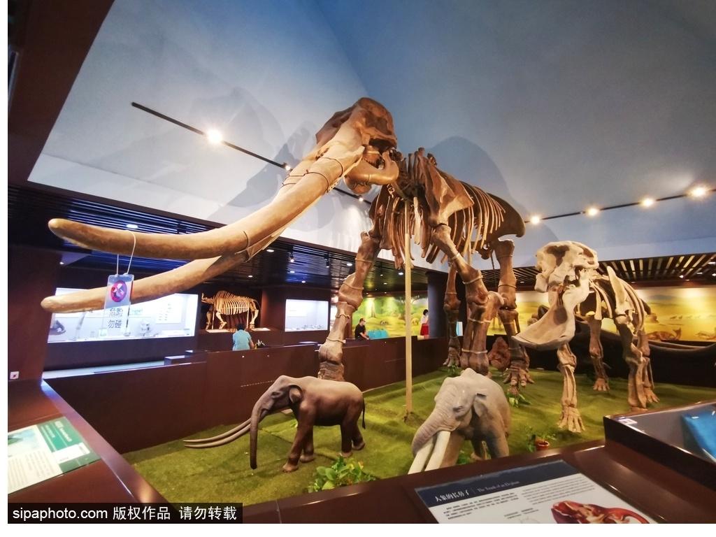 北京必去的十大博物館——探尋千年文化的精華之旅，北京必游十大博物館，千年文化精華之旅探尋記