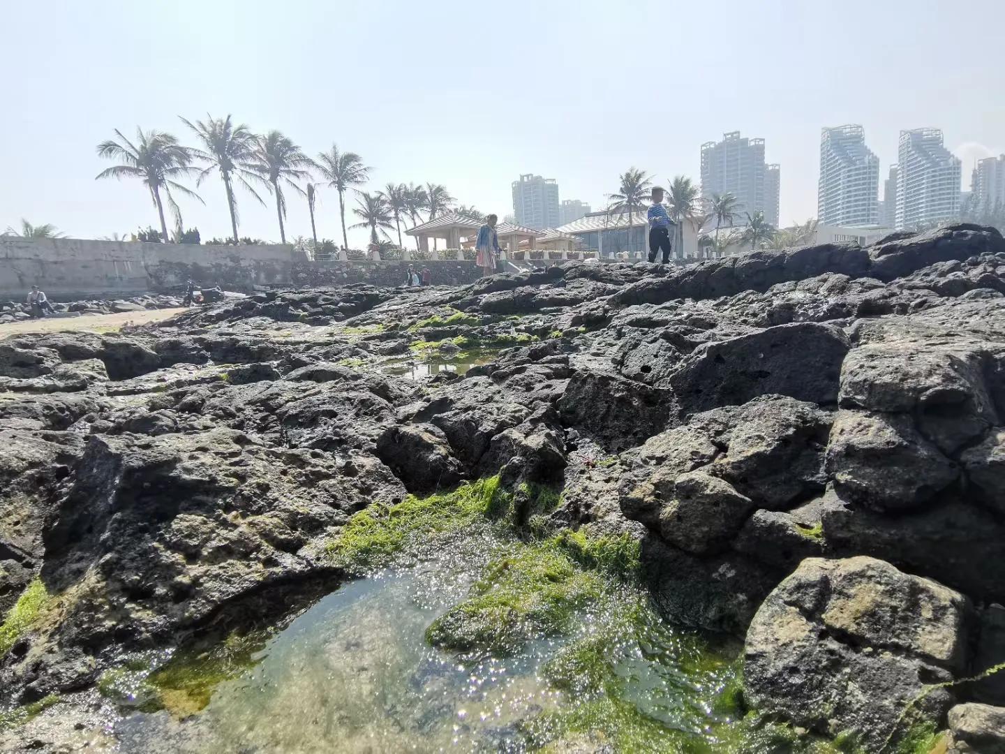 解放海南島電視劇全集下載，探尋30集完整劇情，解放海南島電視劇全集下載，探尋完整的30集劇情探索