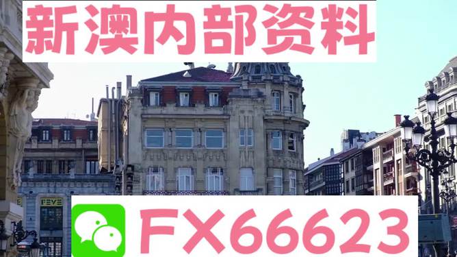 澳門六資料大全，深度探索與揭秘，澳門六資料大全，深度探索與揭秘之旅
