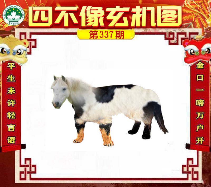 王中王四不像肖一肖中特，探索神秘現(xiàn)象背后的真相，神秘現(xiàn)象背后的真相探索，王中王四不像肖一肖中特揭秘