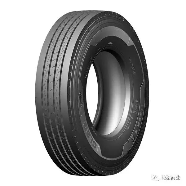 王中王295期指一生肖，揭秘生肖運勢與預測背后的秘密，揭秘生肖運勢預測，王中王295期生肖運勢背后的秘密探索