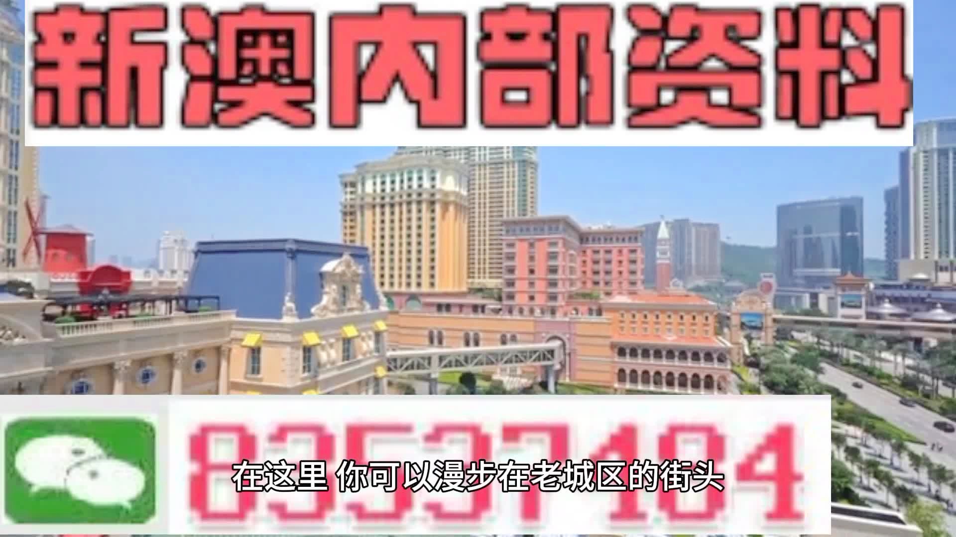新澳門期期準(zhǔn)精準(zhǔn)，探索澳門的未來與SEO策略，澳門未來展望與SEO策略探索，精準(zhǔn)瞄準(zhǔn)新機(jī)遇