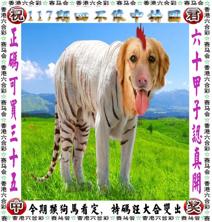 王中王四不像一肖論壇，探索神秘論壇的世界，王中王四不像一肖論壇，神秘論壇世界的探索之旅