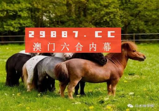王中王四不像正版一肖中特圖，揭秘背后的秘密與獨特魅力，揭秘王中王四不像正版一肖中特圖的獨特魅力和背后秘密