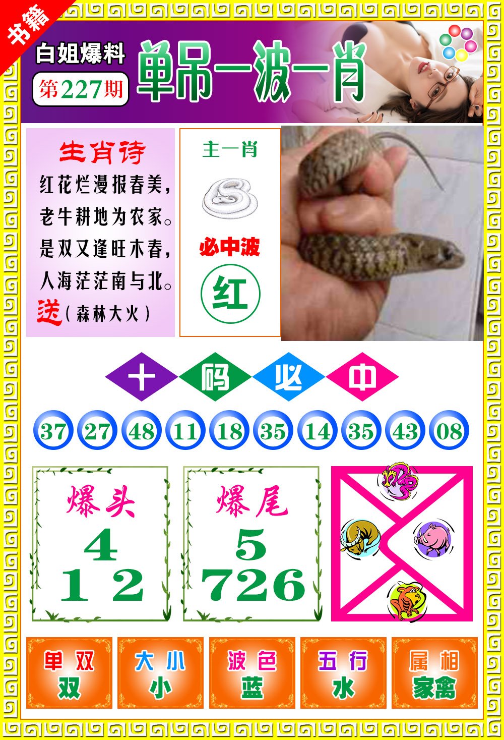 王中王100期期一肖，深度解析與SEO優(yōu)化策略，王中王100期期一肖深度解析與SEO策略全解析