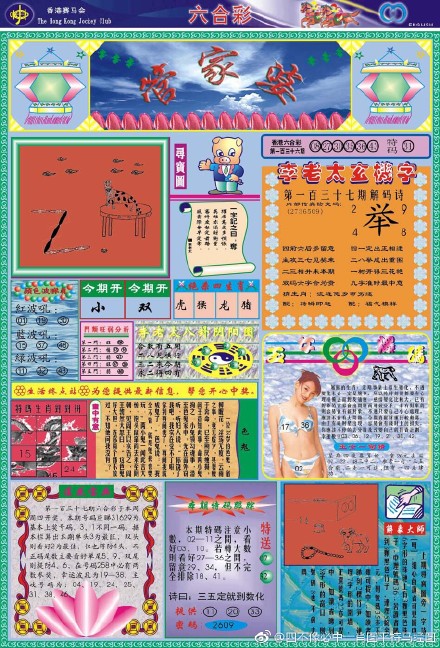 王中王四不像必出一肖圖——揭秘彩票背后的秘密，揭秘彩票背后的秘密，王中王四不像必出一肖圖的真相探索