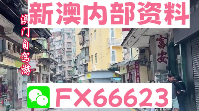 新澳精準(zhǔn)資料免費提供，探索與解析，新澳精準(zhǔn)資料解析與探索，免費提供的深度解讀